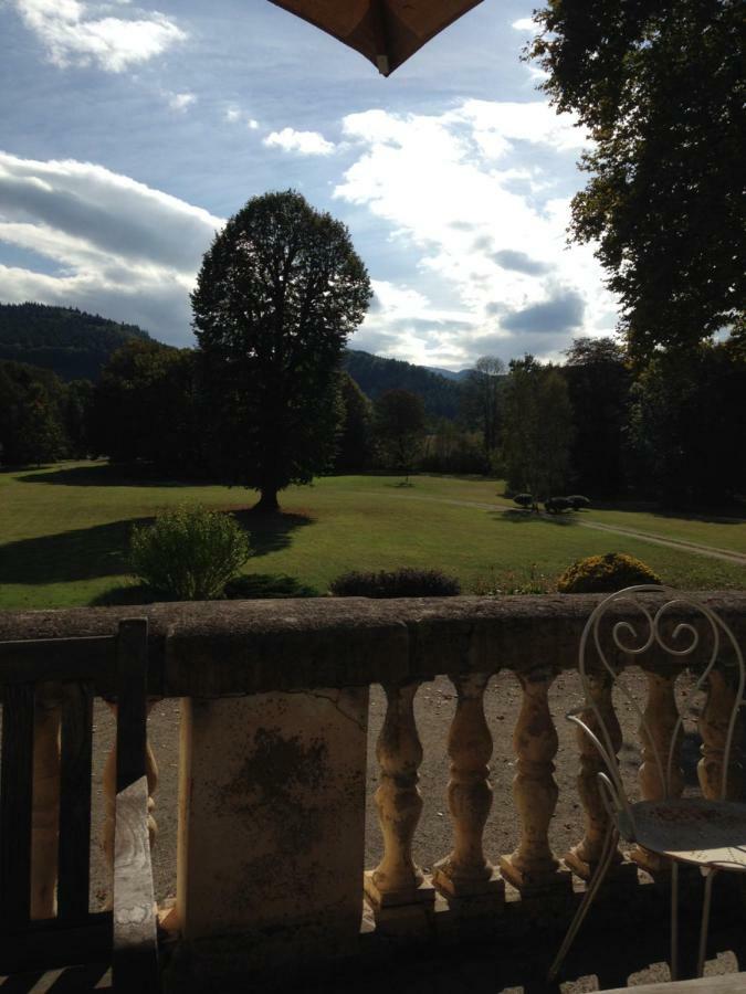 Chateau Du Val Larbont La Bastide-de-Serou ภายนอก รูปภาพ