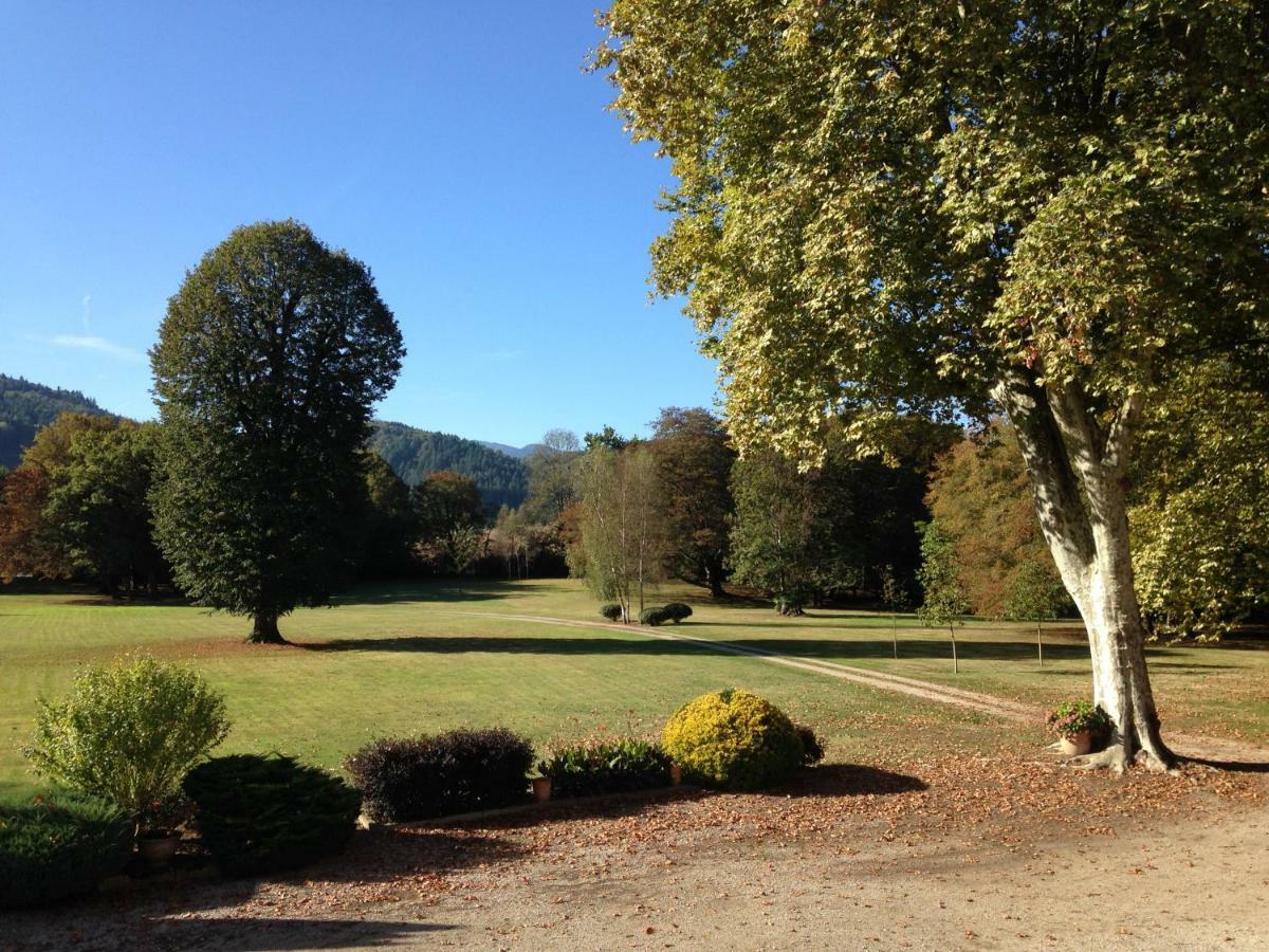 Chateau Du Val Larbont La Bastide-de-Serou ภายนอก รูปภาพ